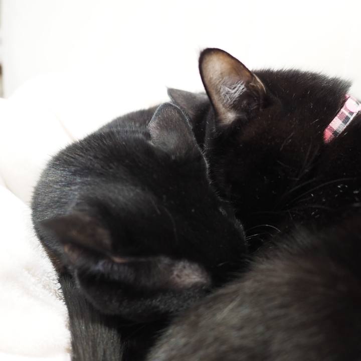 5f7630a7 1b4a 4a31 9299 ee9fc75267ce 1543793360418