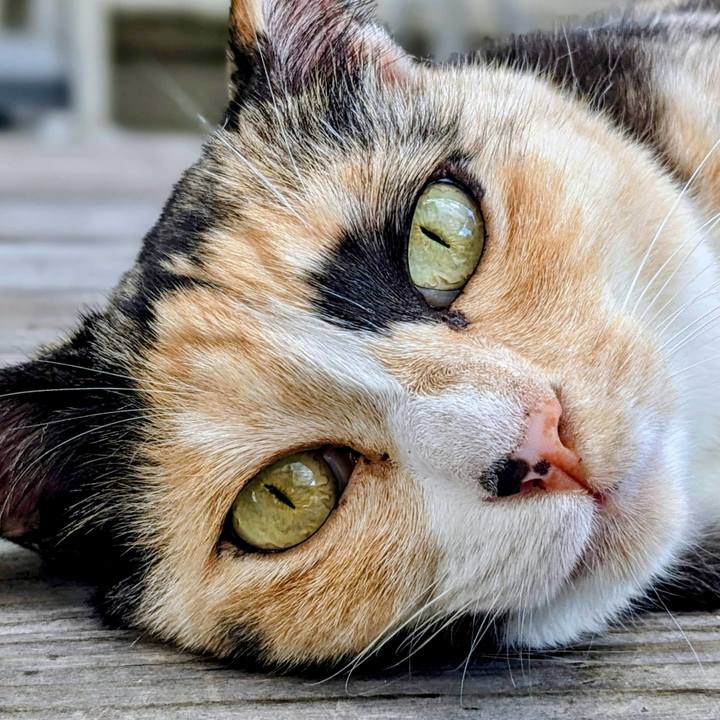 5f763f49 09d0 4426 b8ee 03d00ef74466 1758454588503