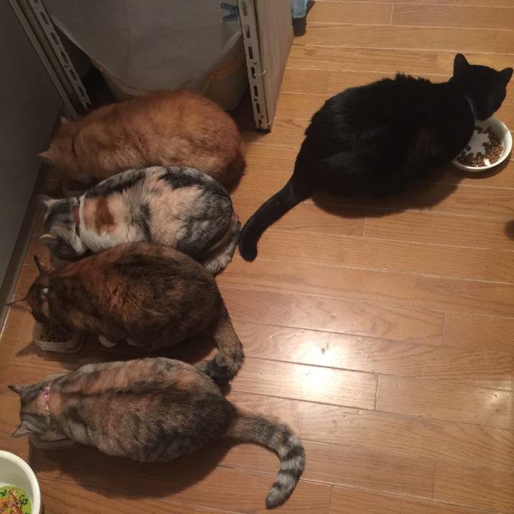 5f76b786 9562 4ea1 a286 11808fe2451e 1547591084028