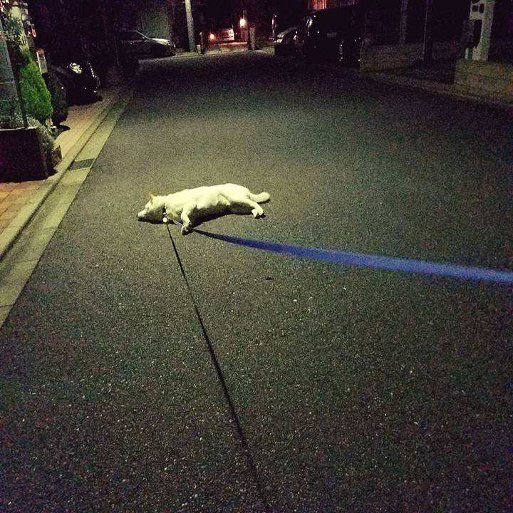 5f76e302 60fa 4ac9 9a88 d118721a835c 1521897955458