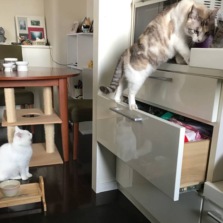 5f76e72d 9490 46ae a566 68c83ff5a7b3 1520770375711