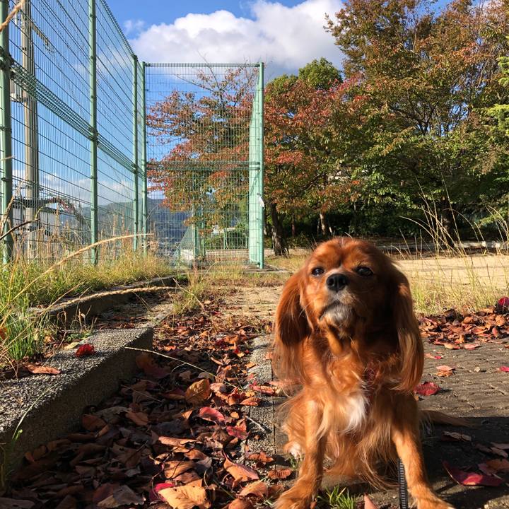 5f777b1f 4236 4fb4 8093 f2d3c6e9ce70 1572825923597