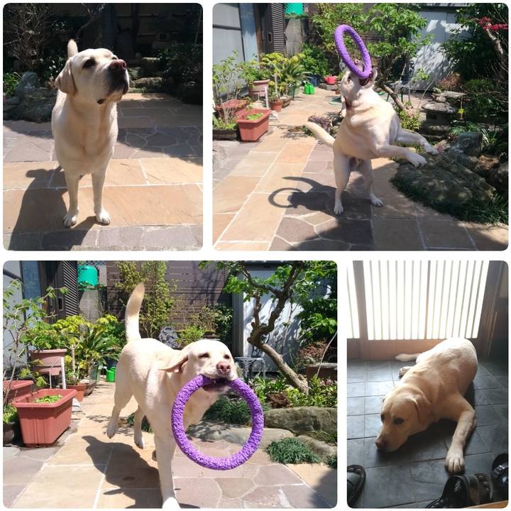 5f7786a6 d20d 4672 9fd2 b271da6f5ab0 1554522044727