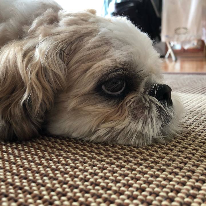 5f7799cf d7e9 4c19 a2f3 52e42296d4b1 1596836694503