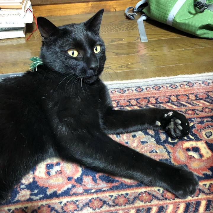 5f77ad95 e9f3 44a5 aabe 7c55815d1bc6 1514892454980