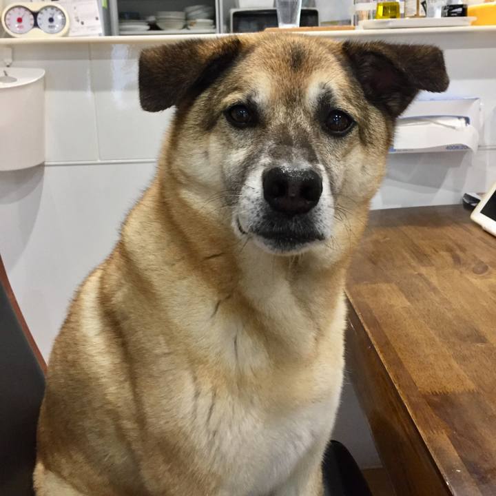 5f7846af 4888 46ac 9133 279bffabbd8a 1528351004947