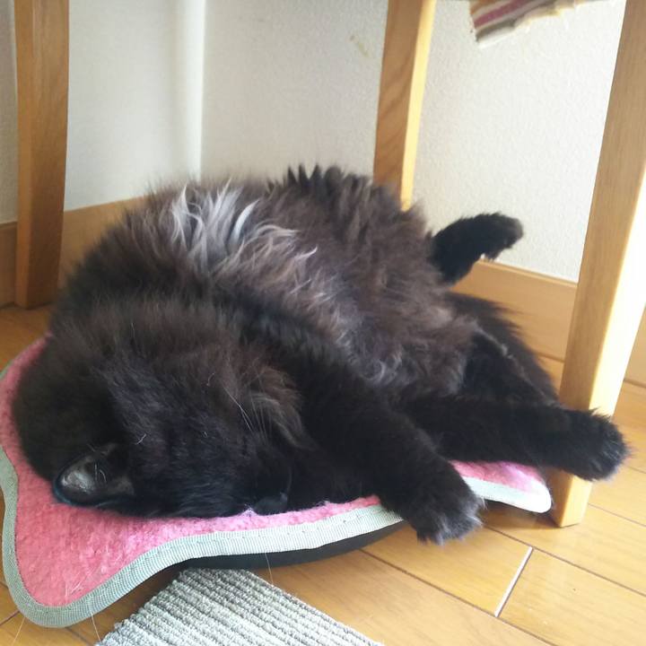 5f786347 b195 4d1c 825c e0960f18de9f 1563580945894