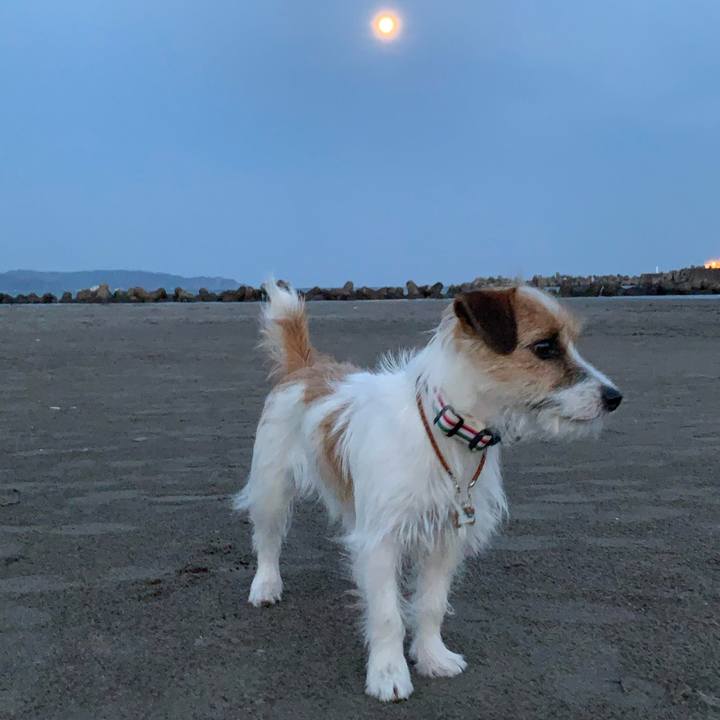 5f7870a7 7c2e 4975 adf1 98e923ccf3e7 1774007532750