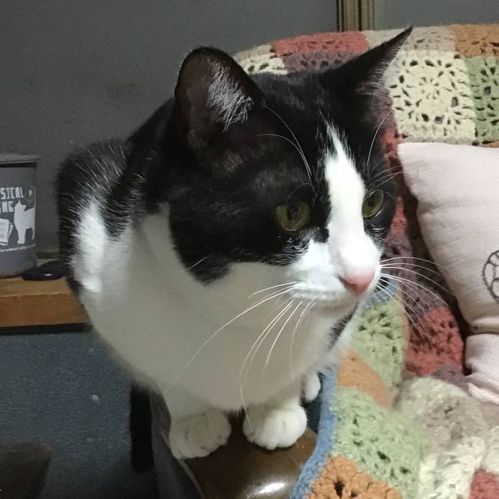 5f78b406 3192 4974 8e4f f73795aaea80 1680007885967