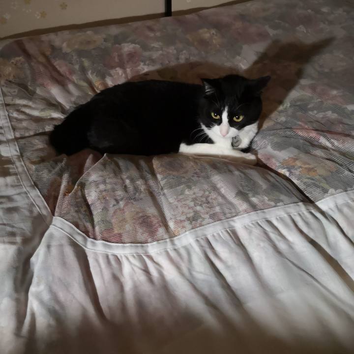 5f78b823 274b 4ce4 b4fc d5c9a222d641 1651808383513