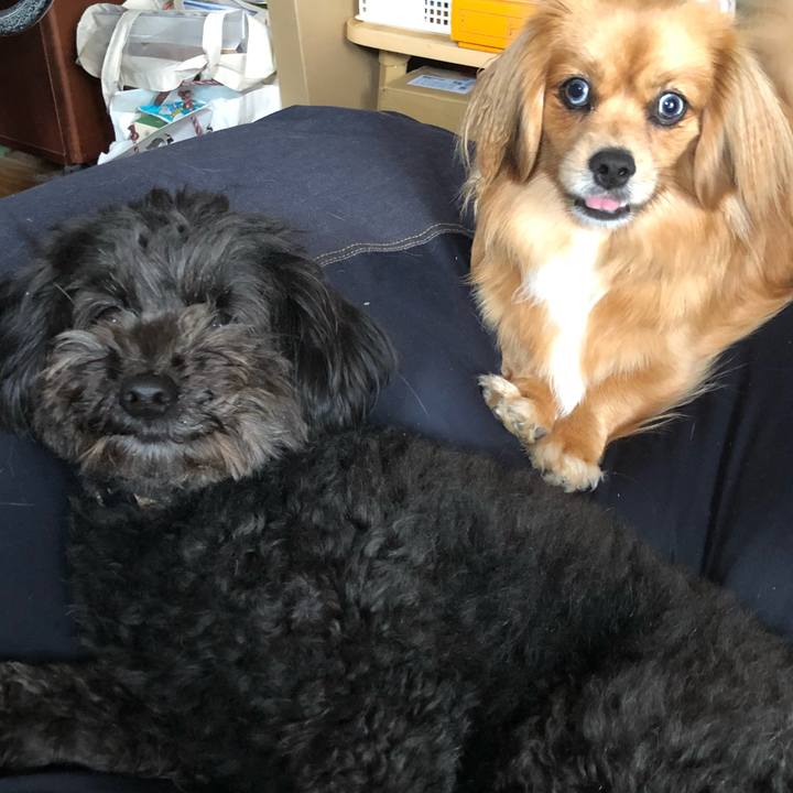 5f78c25e c15f 4f99 8126 1649690e3e87 1525903163153