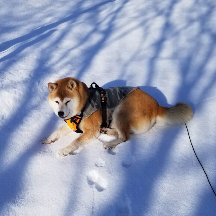 5f78fdaa 4293 4c95 a47f 772c723ca51d 1640234443121