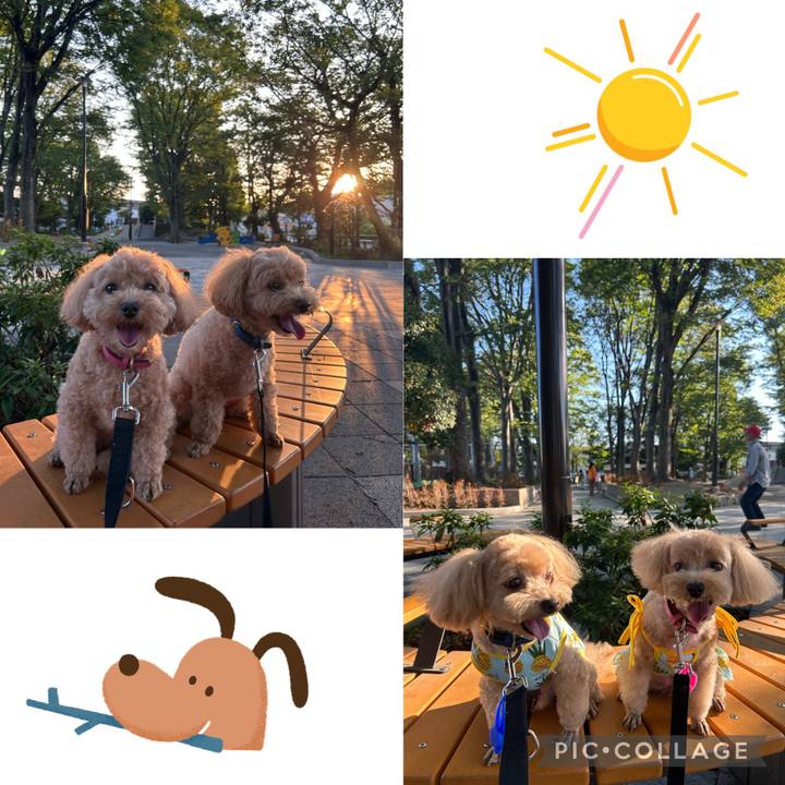 5f790356 c917 4886 bd67 1ce44effb63f 1690675974315