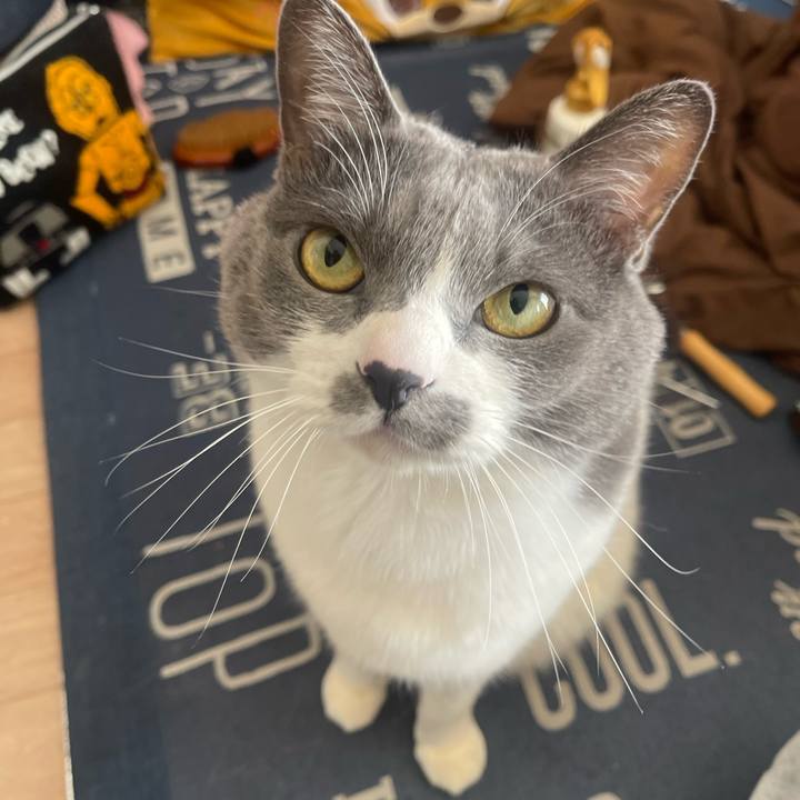 5f794def a914 4dfa bbc4 6b9ca3d21e1d 1739066584906