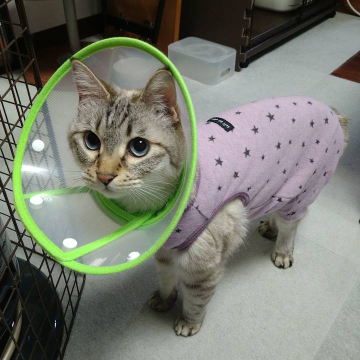 5f79a67b e5ad 463b 968d 1384f2e59354 1737032181654