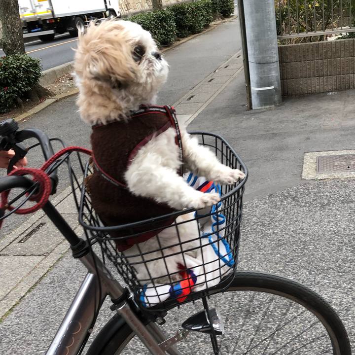 5f79d9fb b0cd 4d23 9a90 d01f4181429a 1551391357258