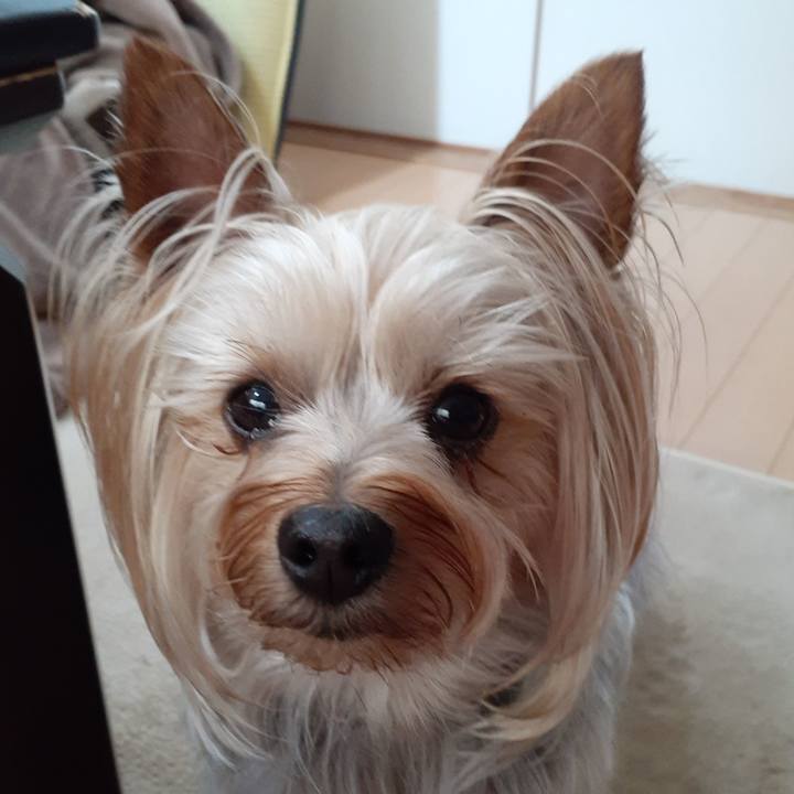 5f7a26f4 4fff 4afa 9051 8dad8237a5e6 1590966160959