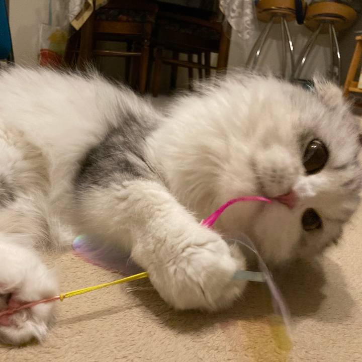 5f7a2c9a 5cfc 4be3 86c2 5fcff06e839f 1626616094244