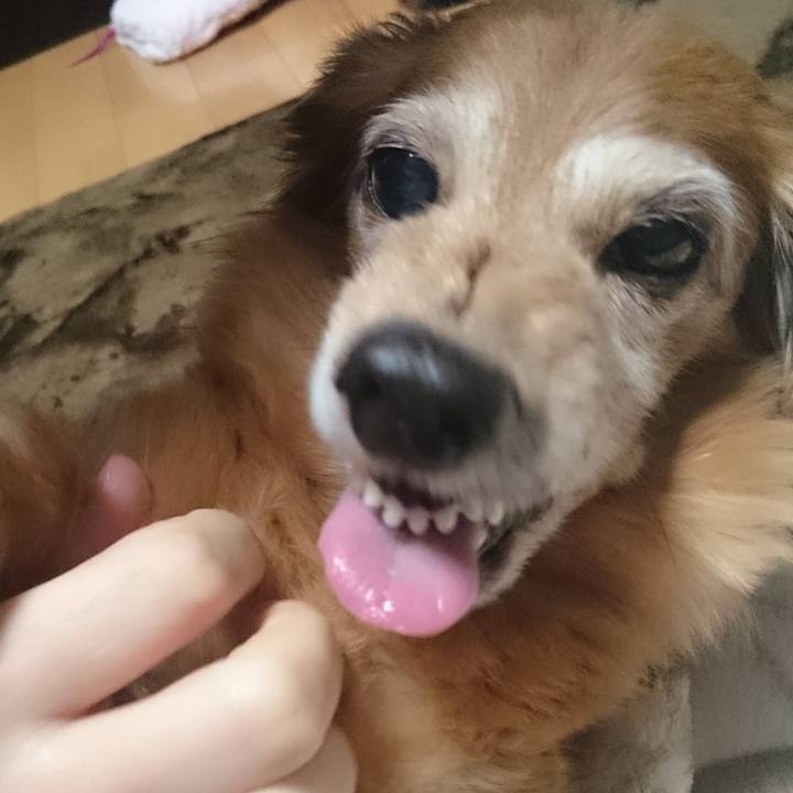 5f7a801f 4d5d 4431 ad22 aba710d9ce9d 1618675996423