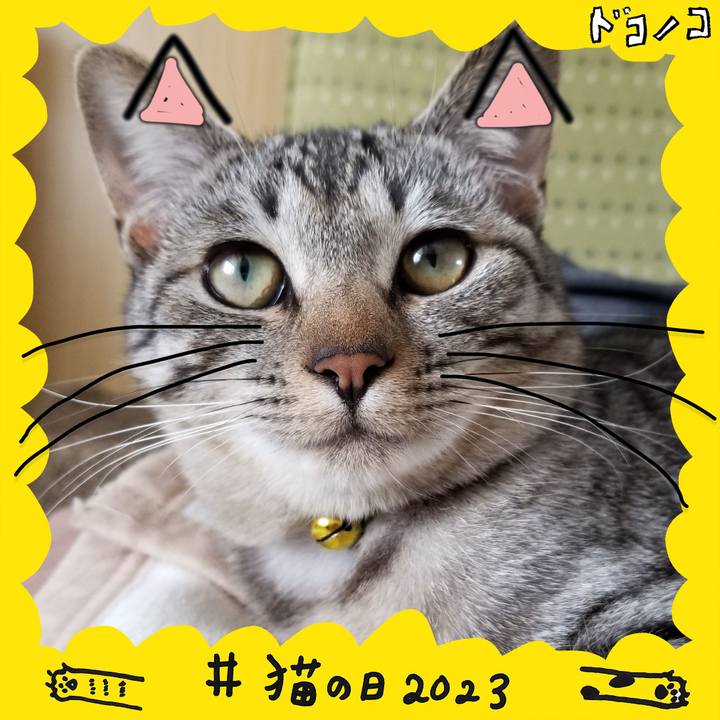 5f7aa102 67b4 4629 9630 c49aea0943cd 1677042784152