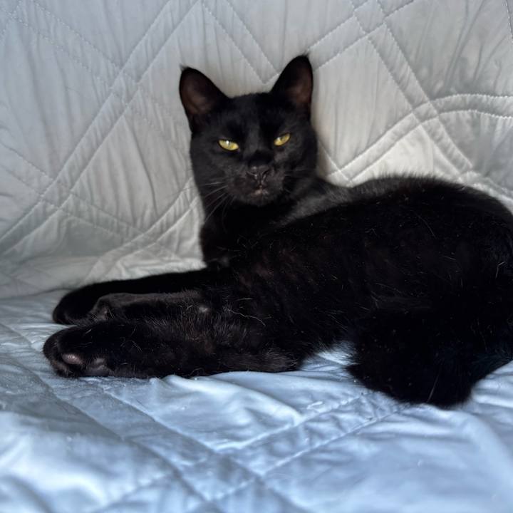 5f7aafba 4870 4665 af91 02637a5e345c 1757548957299