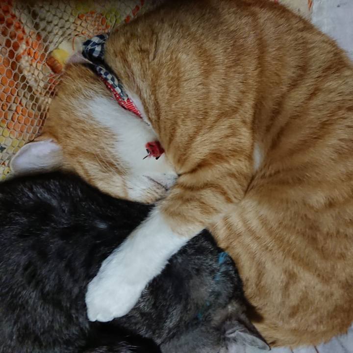 5f7ad0f9 08b9 4123 a540 9a6cefd01176 1575033363269