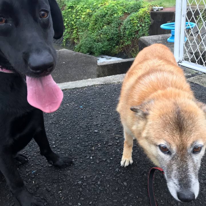 5f7adbdf c2bf 4506 b6c2 43b8872f3e33 1569193637309