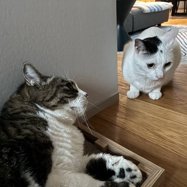 5f7aec13 47ab 4be2 9e4e 4bdb43007cde 1771232504392