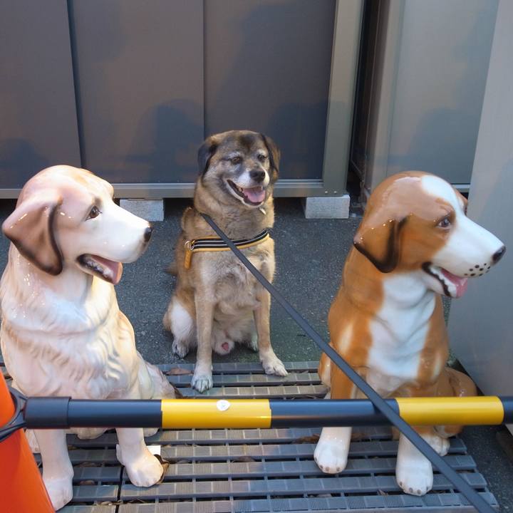 5f7aec70 1224 4298 ad7c 0dd534e8232c 1655252709802