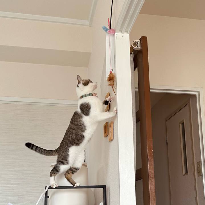 5f7b3d33 5498 40df 9658 4836ce045176 1774683271146