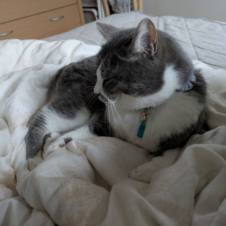 5f7b3dee dedf 45fc b6f5 7a8e99b19836 1744511646240