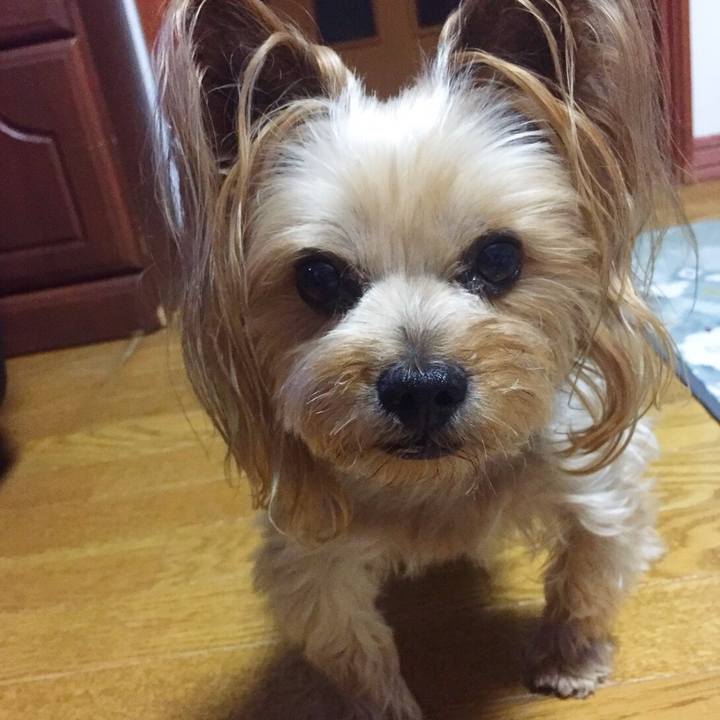 5f7b59cd be72 4096 8298 814b11a78fa9 1527683535273