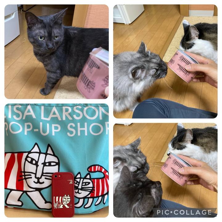 5f7b6c70 88c2 480b bdc7 5a0e56507c5d 1716945933412