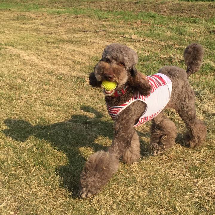 5f7b9b0e 12e7 4cf3 8f75 22cfd812d365 1532498400494