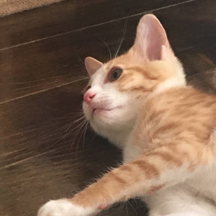 5f7bb8f3 5510 4479 95af 45252fd1b0f2 1631941963225