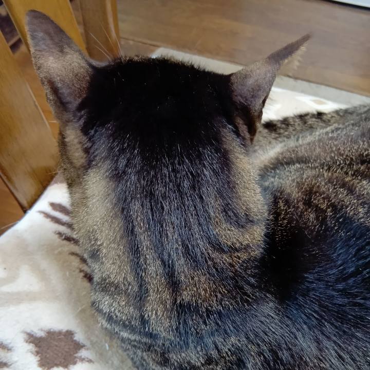 5f7bc1fb 3a12 4d01 8ac0 265202f57954 1751940738351