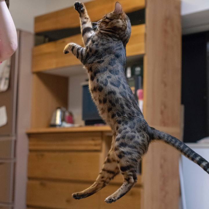 5f7cac12 d8f3 40e0 8f7c d5826d6df0cd 1530889233598