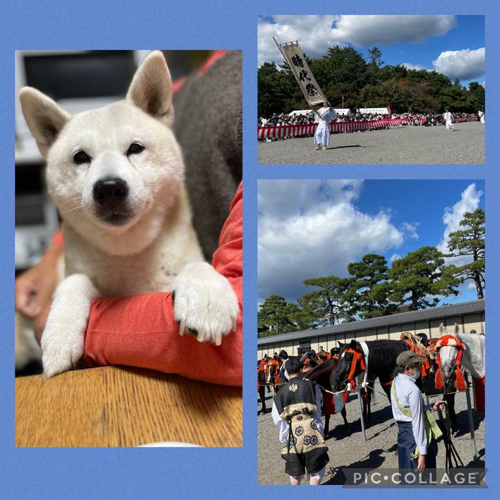 5f7cb4eb 5fdd 4987 a938 6e3f50e5e0ca 1698039725329