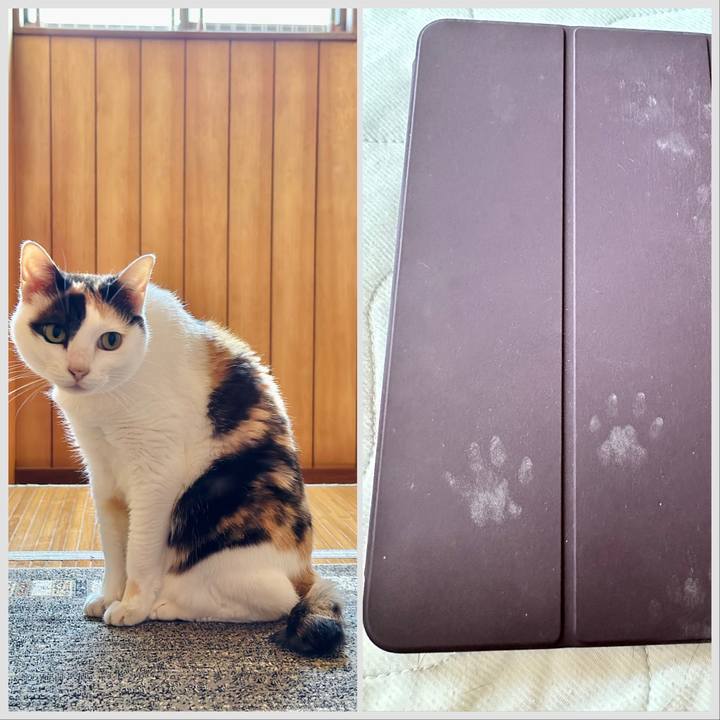 5f7cd666 88d8 4fef bb32 bf2787e8c0cf 1689470997574