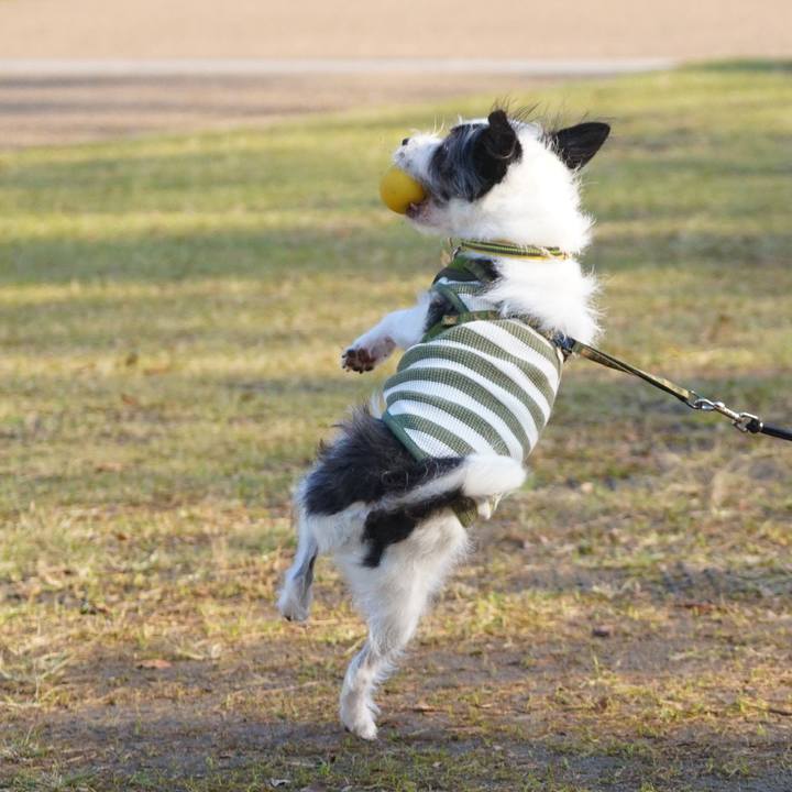 5f7ce57f 260a 4c1c 9981 9f640523821f 1572612346431