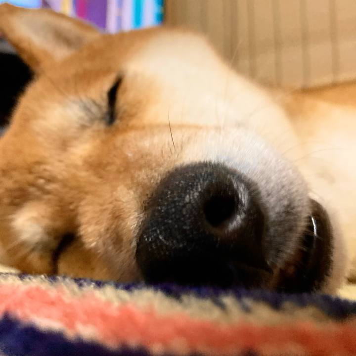 5f7d0806 53bf 439b adc7 ab560ee5bbd7 1688037599545