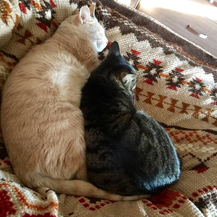 5f7d6b0f 2334 4465 a4e7 3fb96e4f4ba5 1510009433951