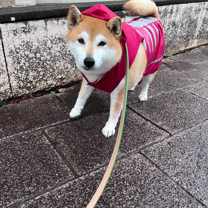 5f7d7a84 41e6 4c3a a428 8c6d3e053f45 1711442100140