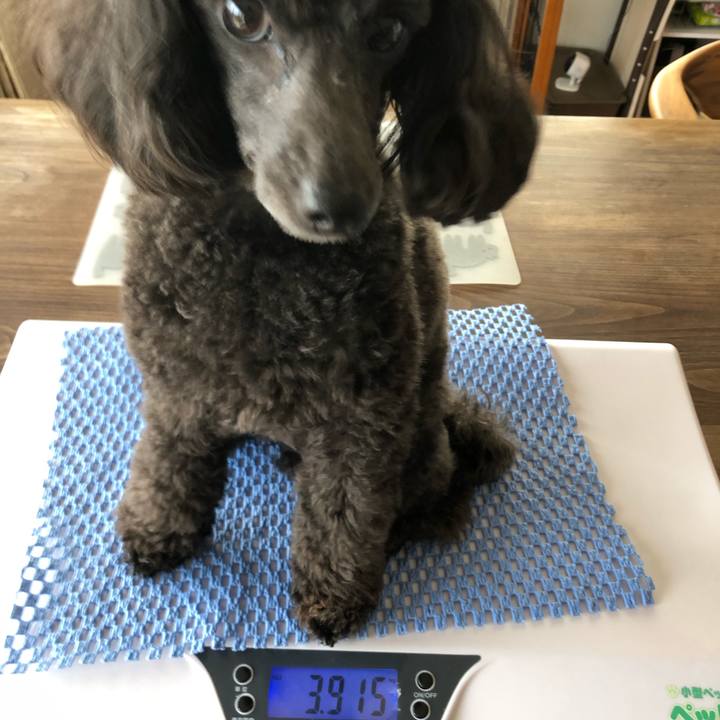 5f7dd5e2 d6de 40bd a7fc fafe7e623d5b 1588216177428