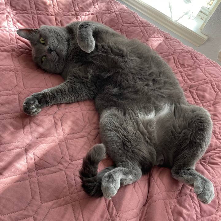 5f7ddc73 6721 4183 b95b 9e5c7ead2f15 1769271572510