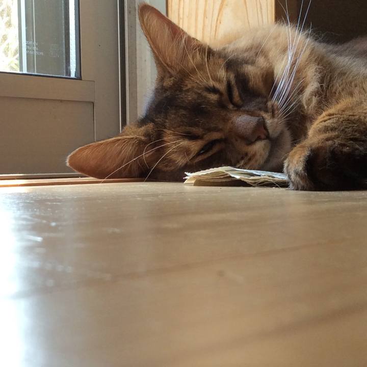 5f7df0bd 23d7 4a6e 8f39 653349f3e59a 1628243268681