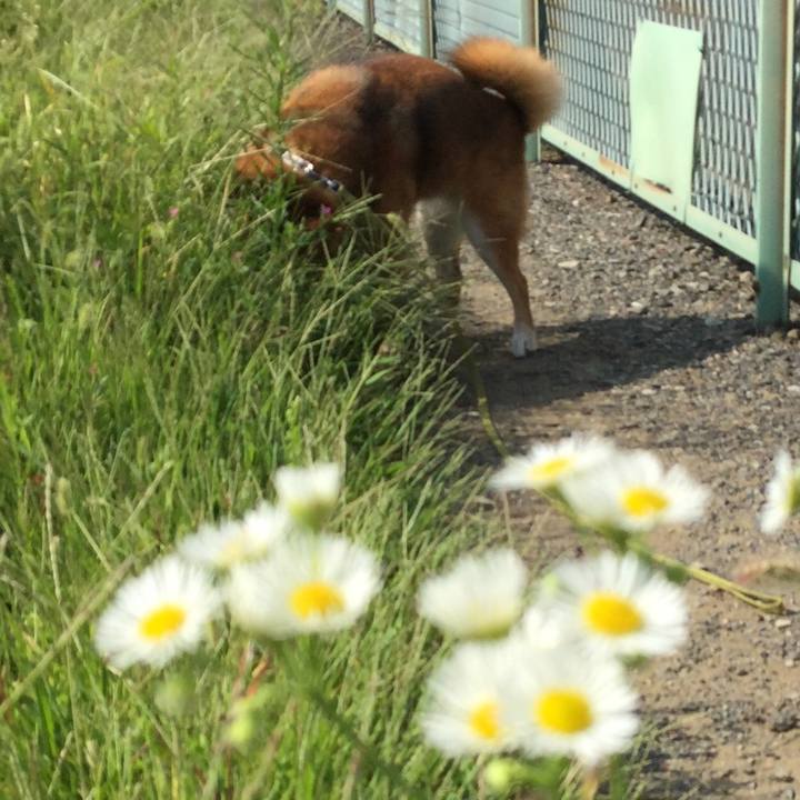 5f7df141 badc 48e1 92fd 3e03132db479 1569978321519