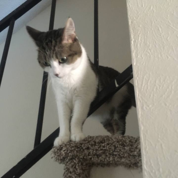 5f7e096f 3fa7 4089 adb0 b2f0defbeb6c 1636425499227