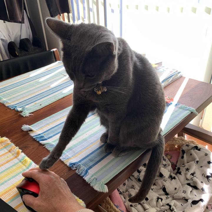 5f7e1db2 27b4 4887 87ca 14b451703ca2 1646531749415