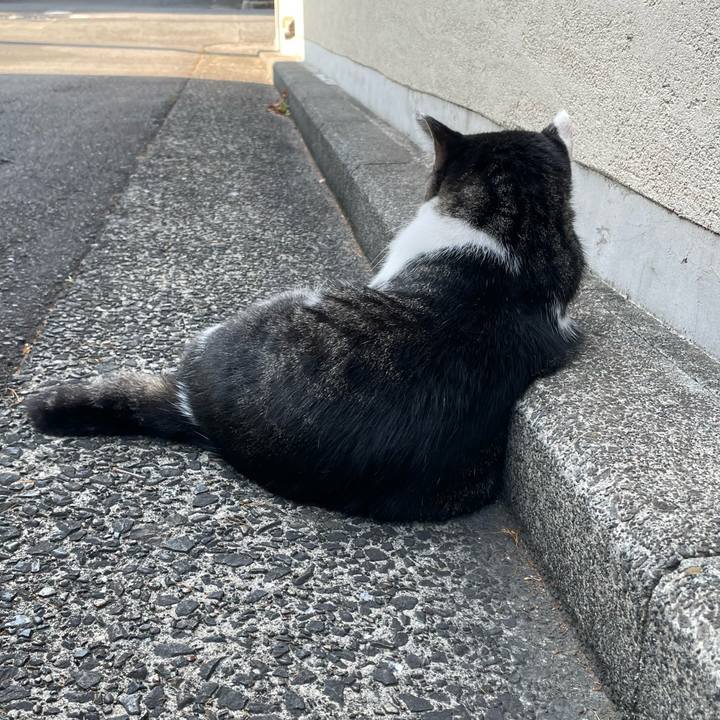 5f7e25fb 8659 4397 8fcf e0d15f687691 1690622707863